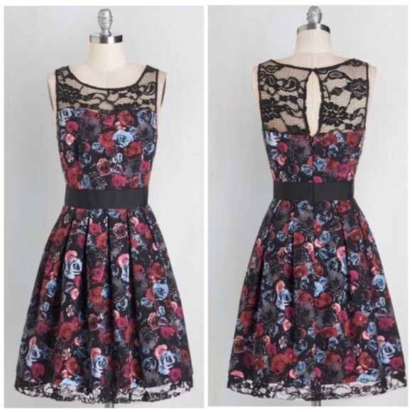 BB Dakota Dresses & Skirts - ModCloth Soirée Stunner dress in roses